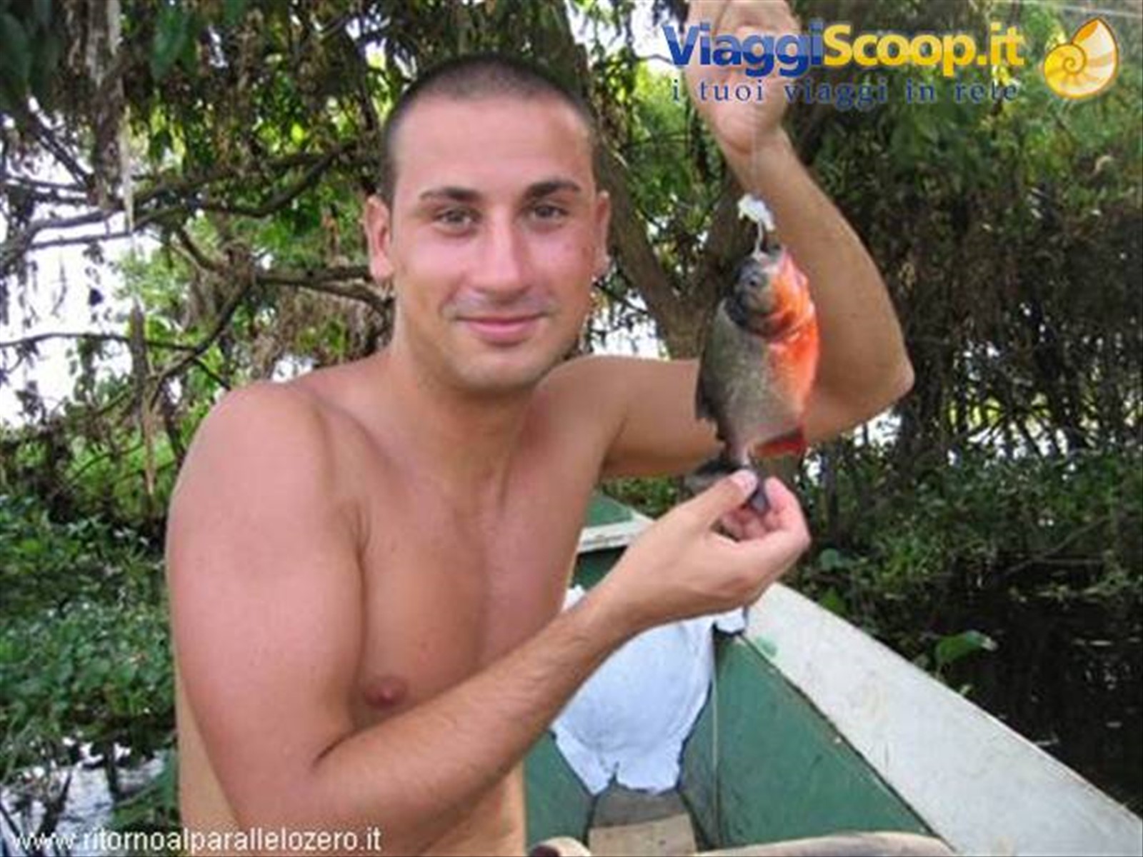 Piranha