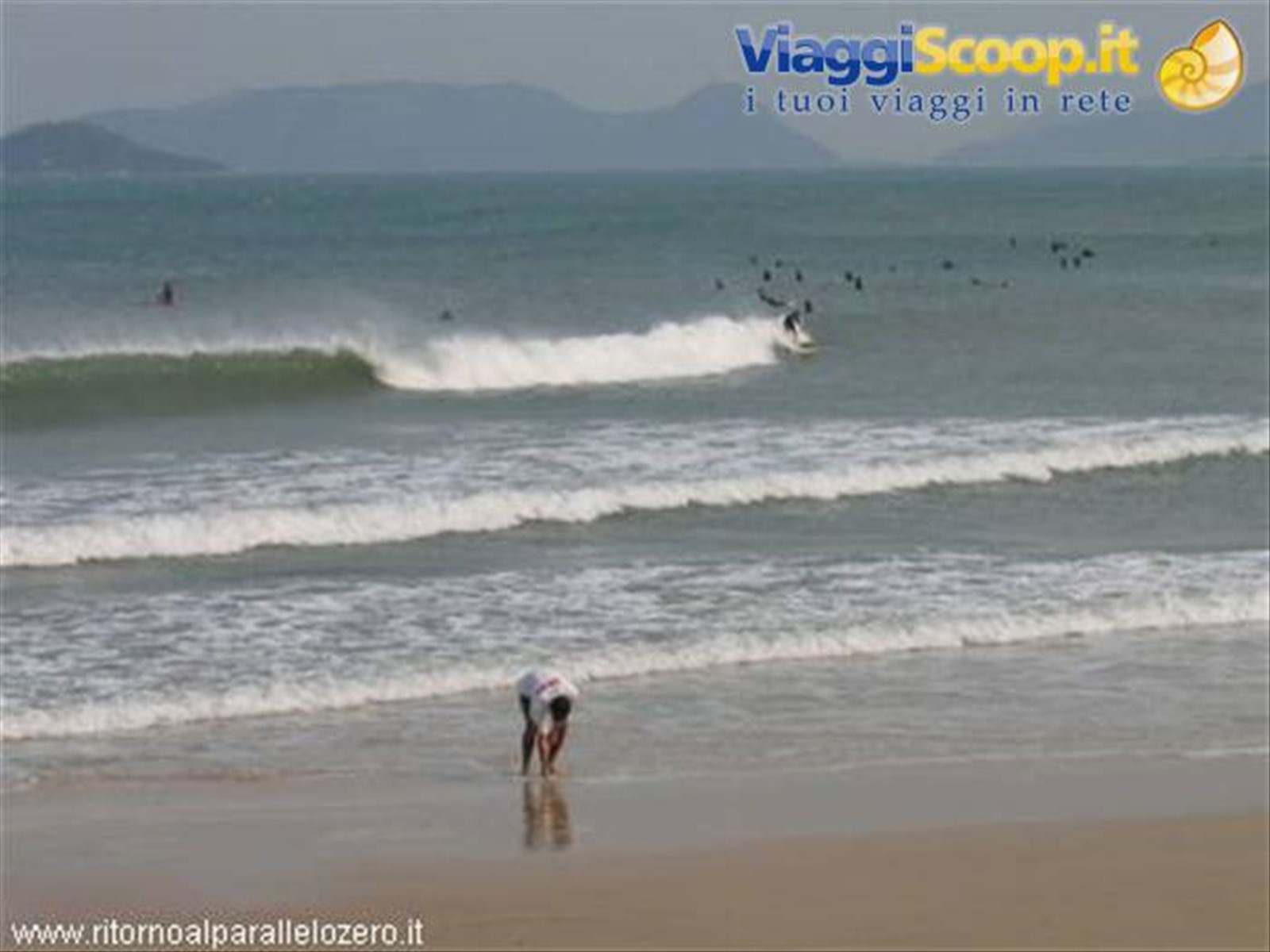 Surfisti
