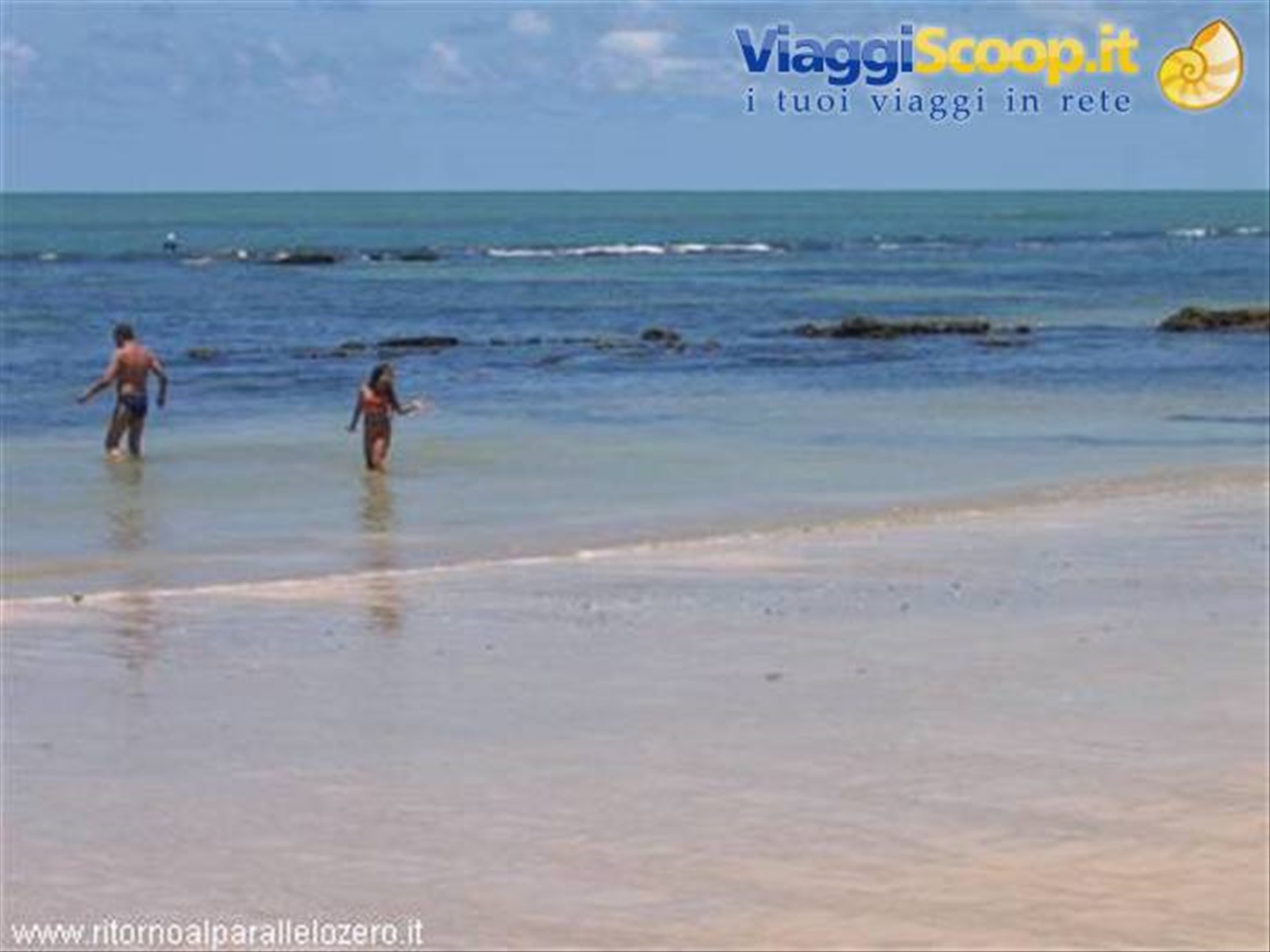 Recife: la barriera corallina
