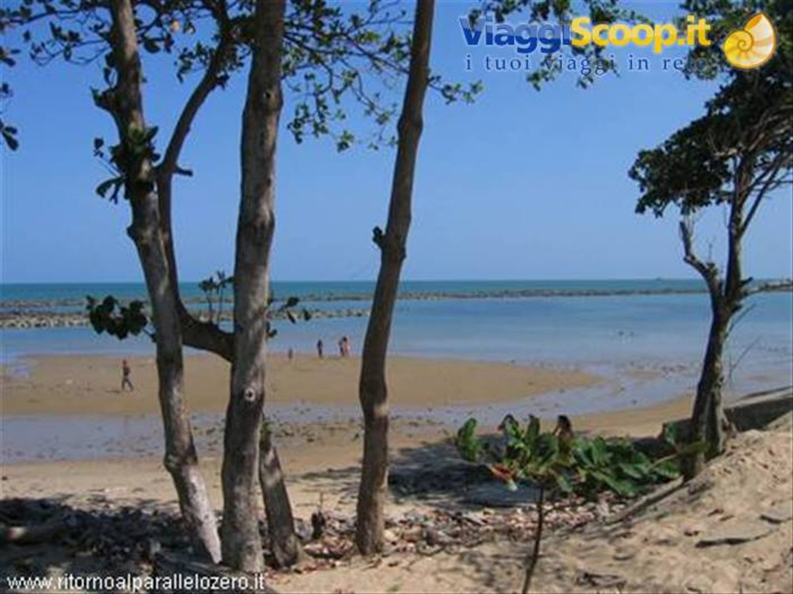 Praia de Olinda