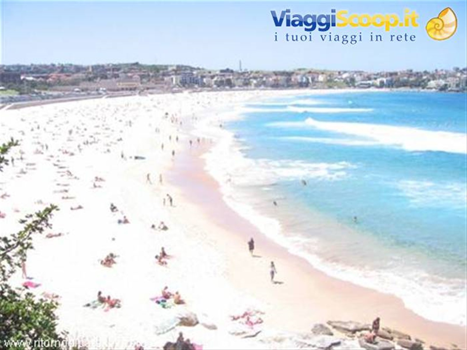 Bondi beach