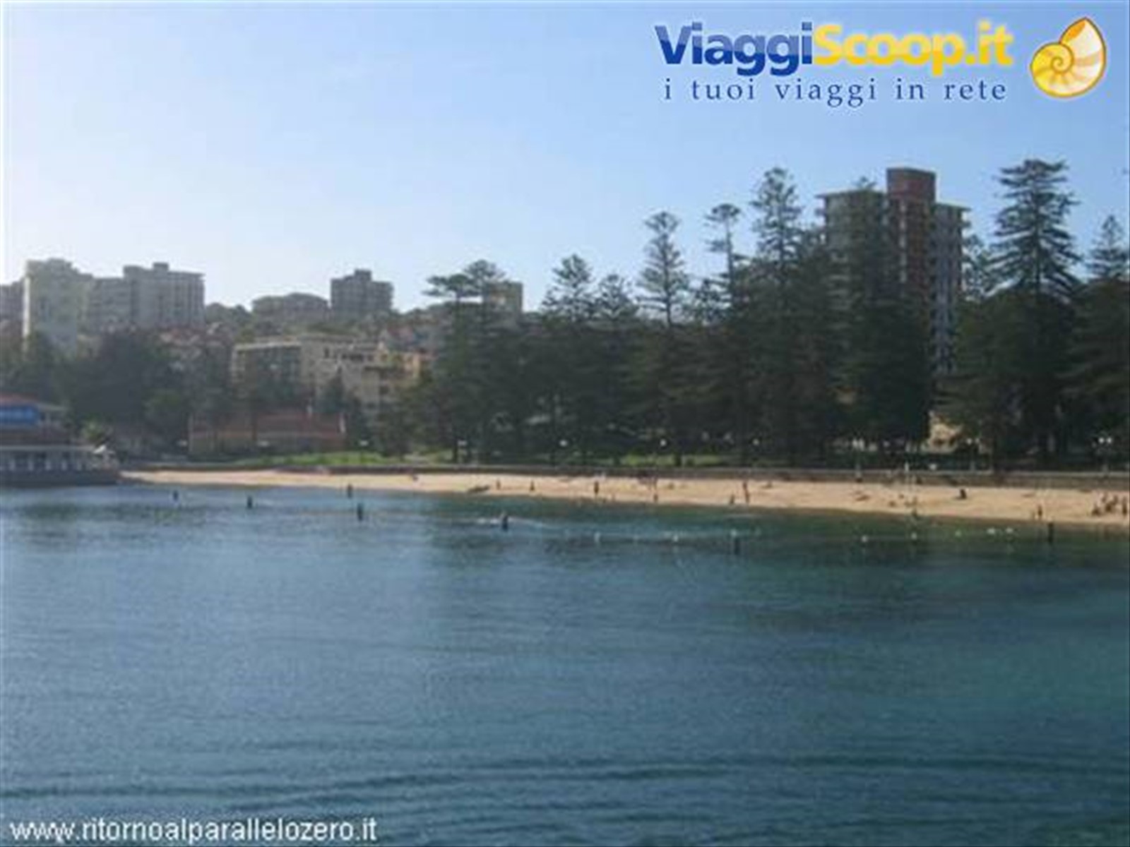 Manly harbour