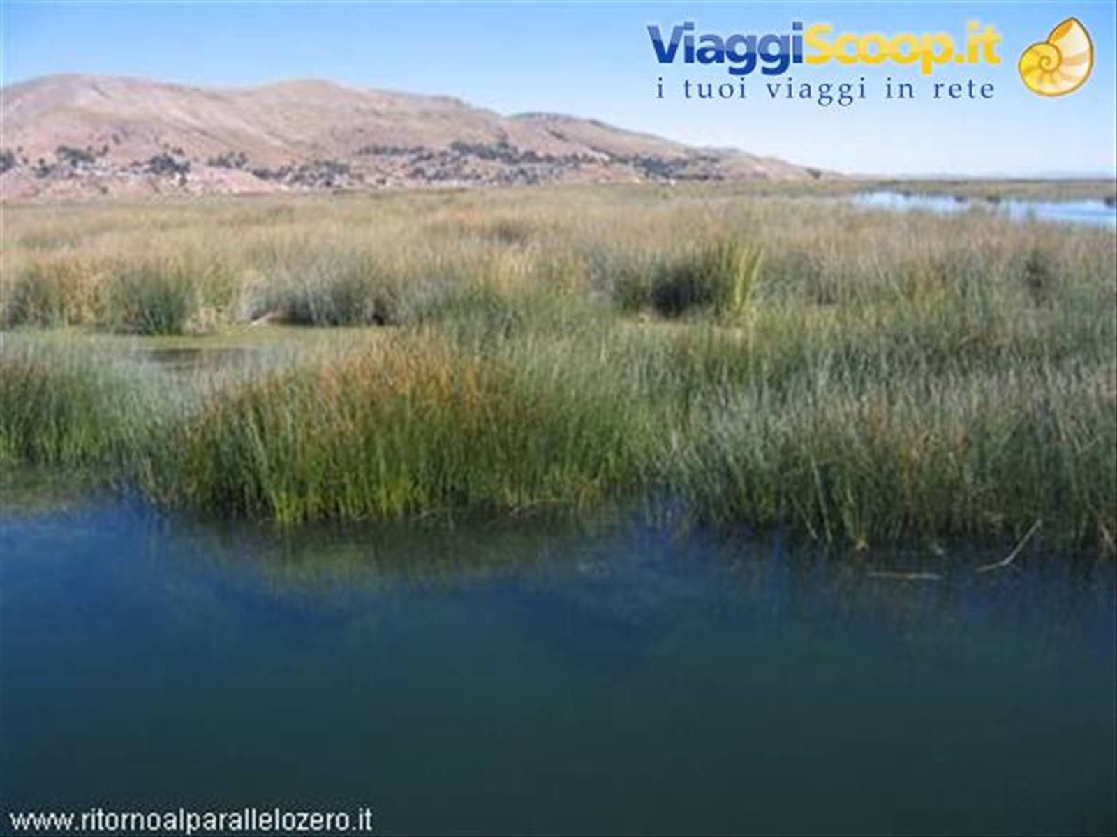 I giunchi del lago