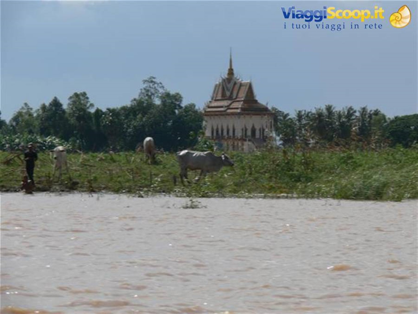ASIA CAFE II : I MISTERI DI ANGKOR WAT