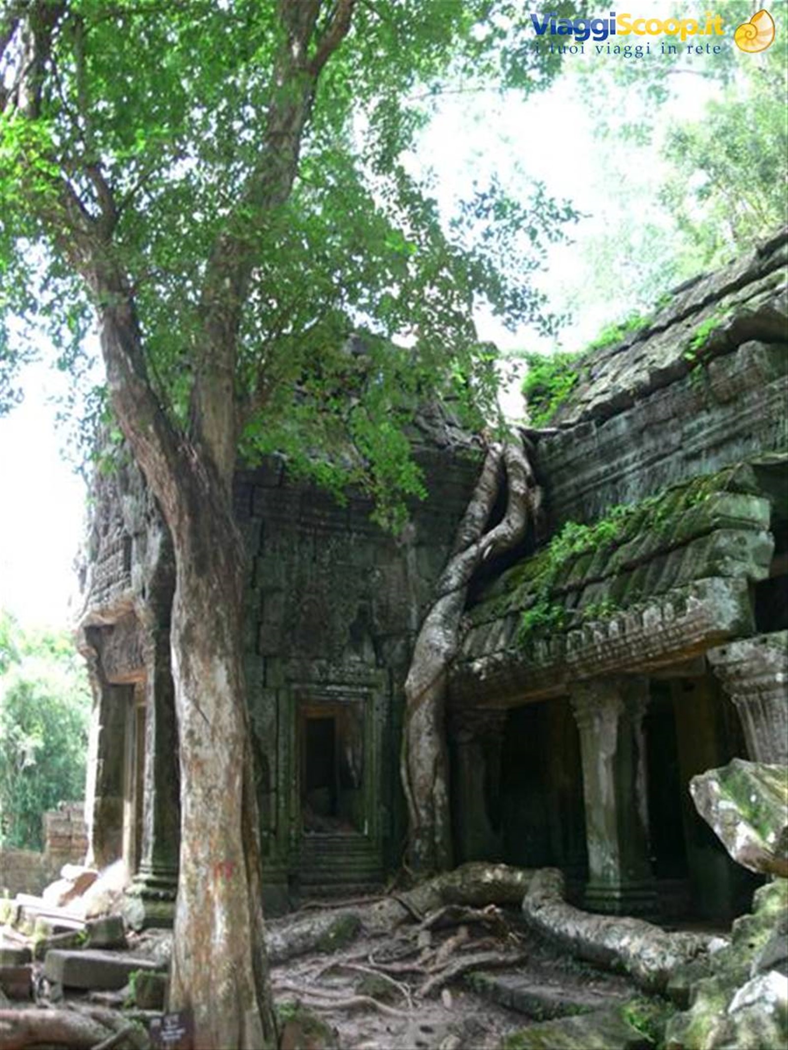 Foto di viaggio in CAMBOGIA