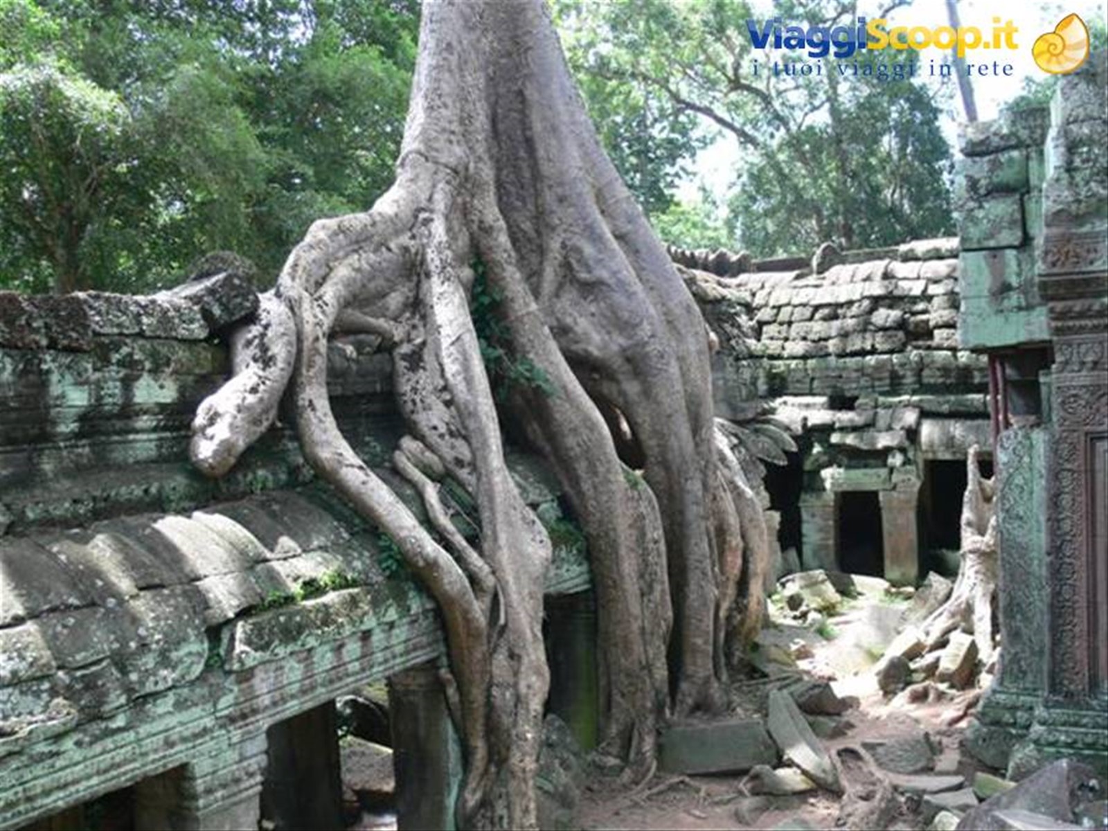 Foto di viaggio in CAMBOGIA