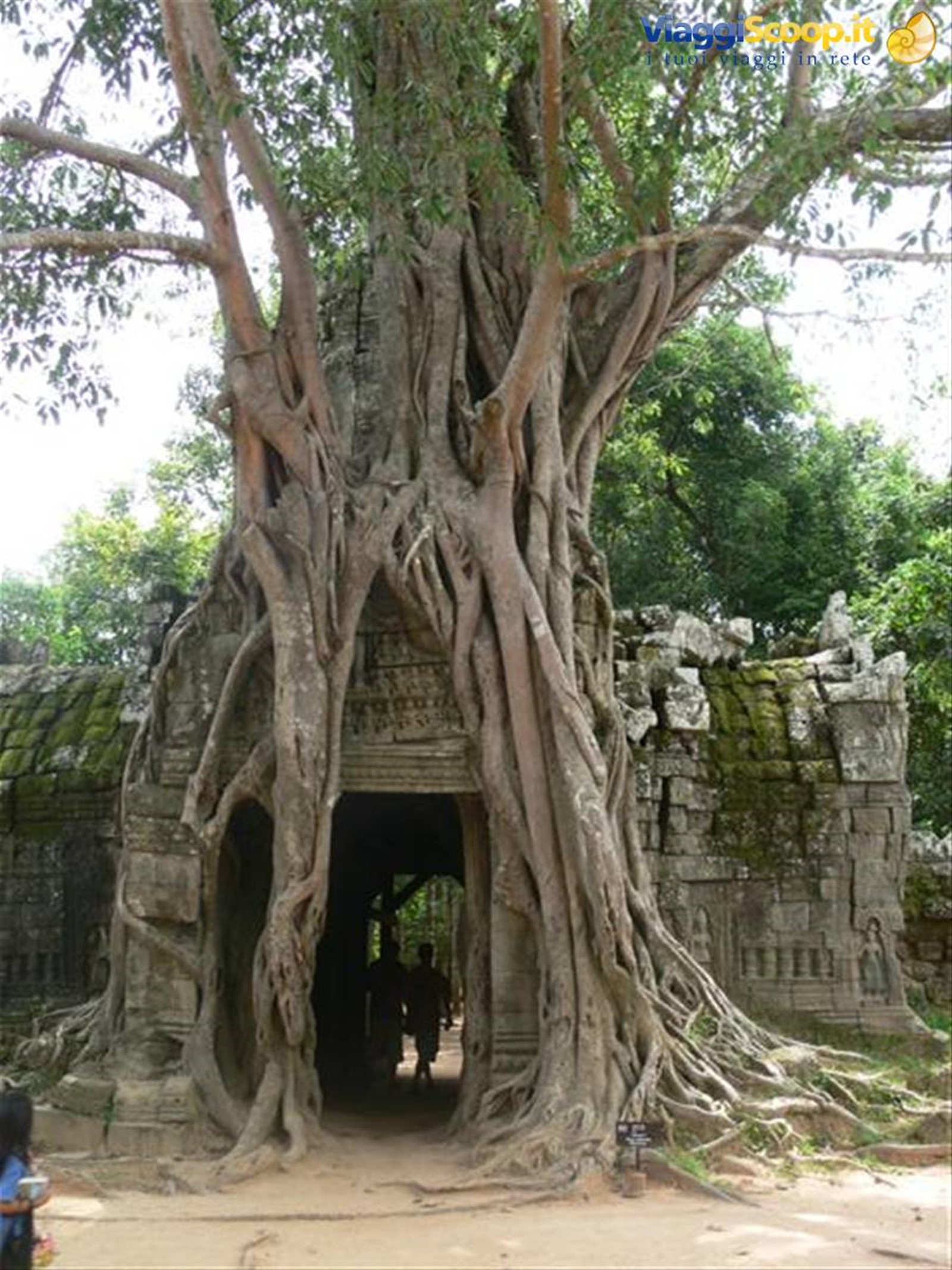 Foto di viaggio in CAMBOGIA