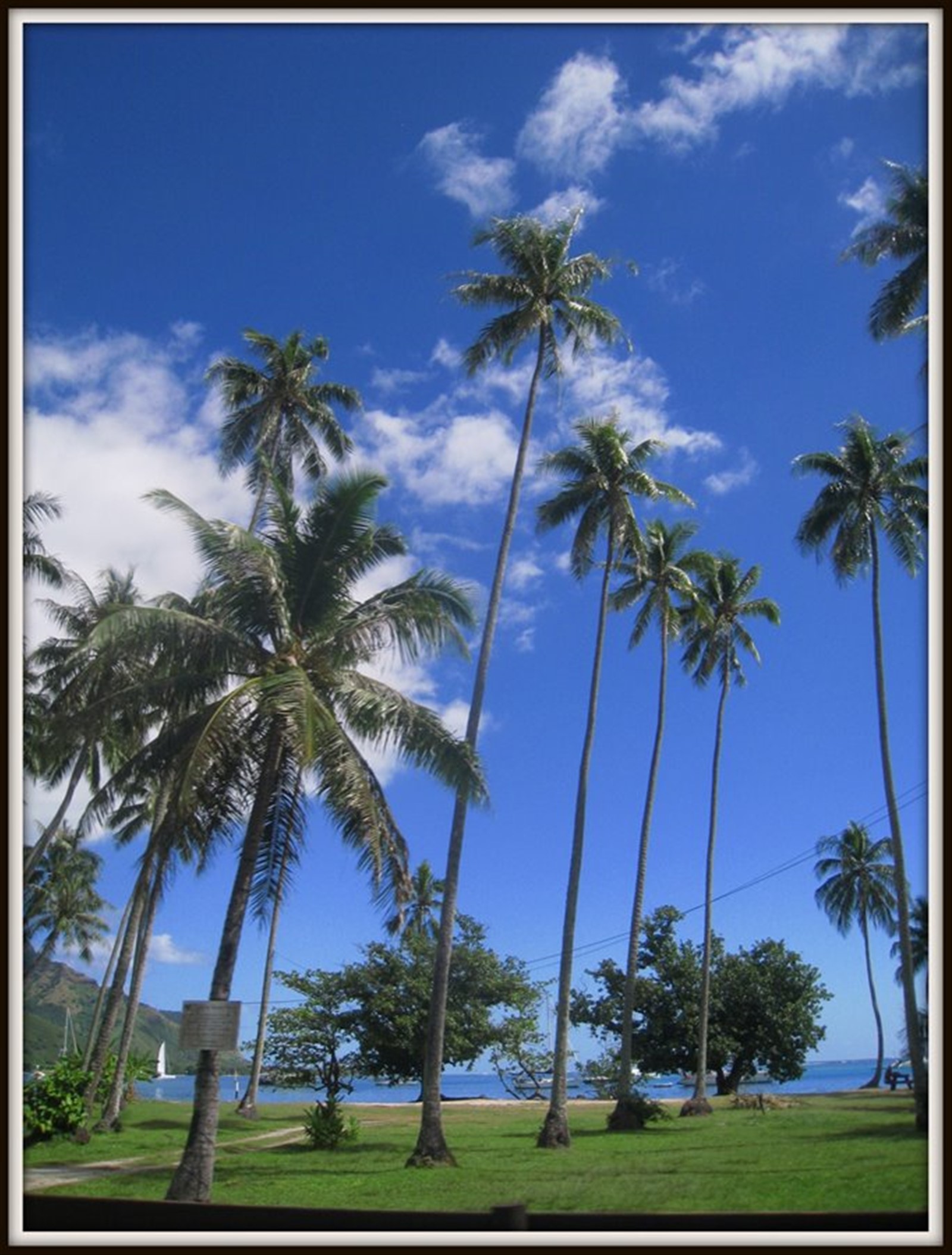 Foto di viaggio in POLINESIA FRANCESE