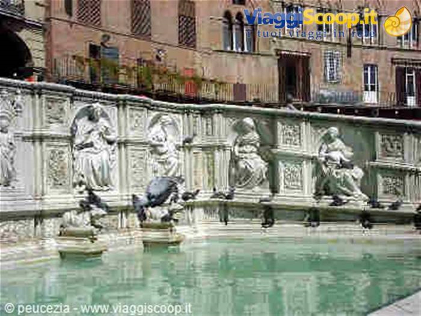 fonte gaia