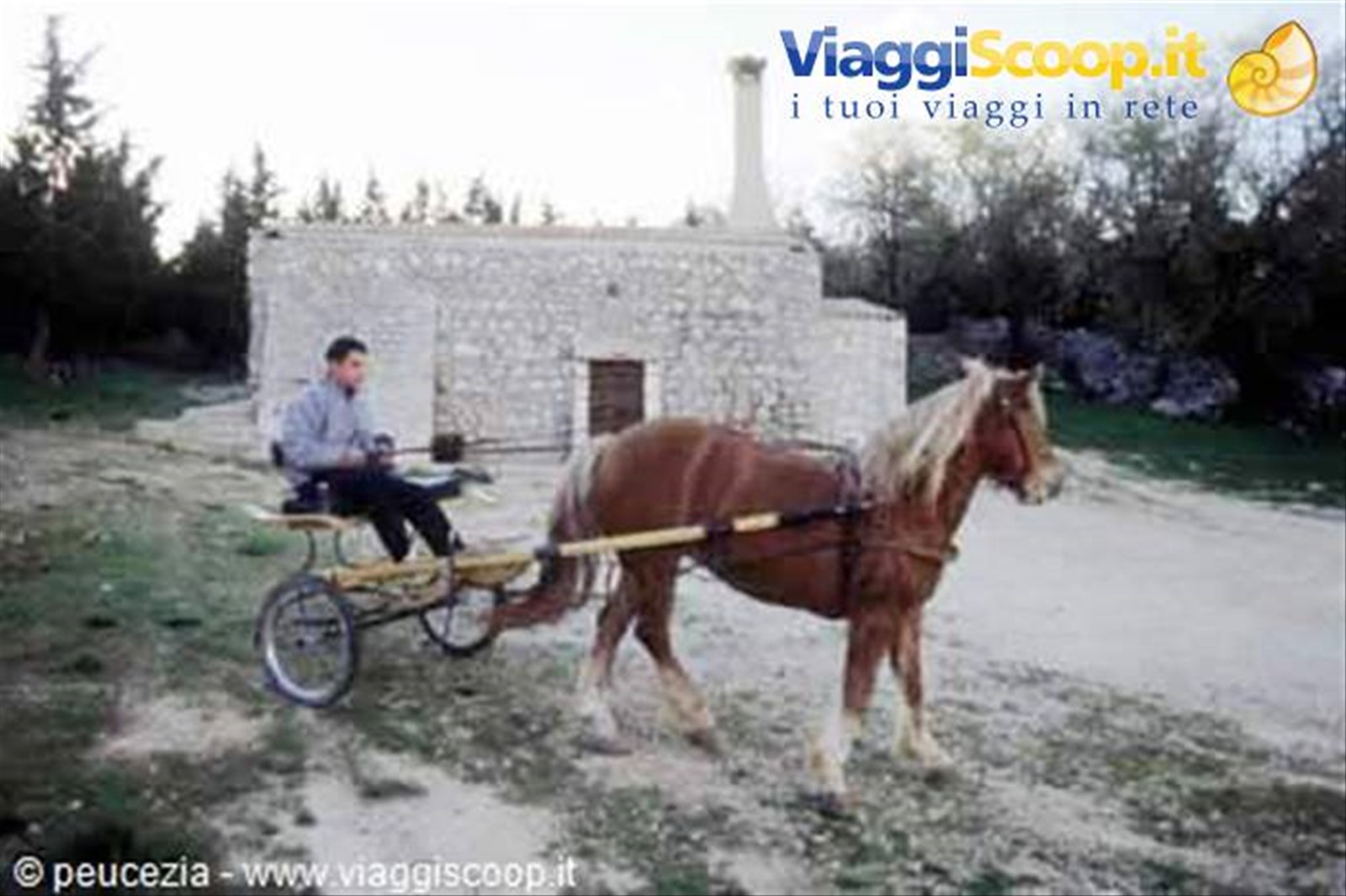 In giro per agriturismi:una masseria nelle Murge