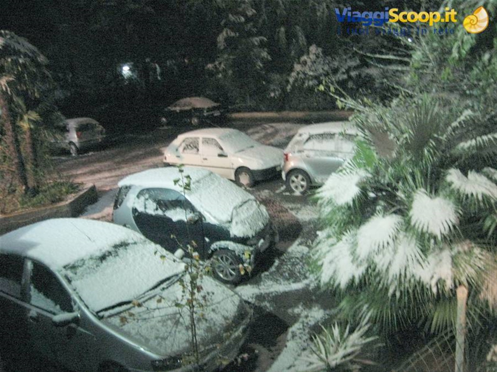Neve a BARI