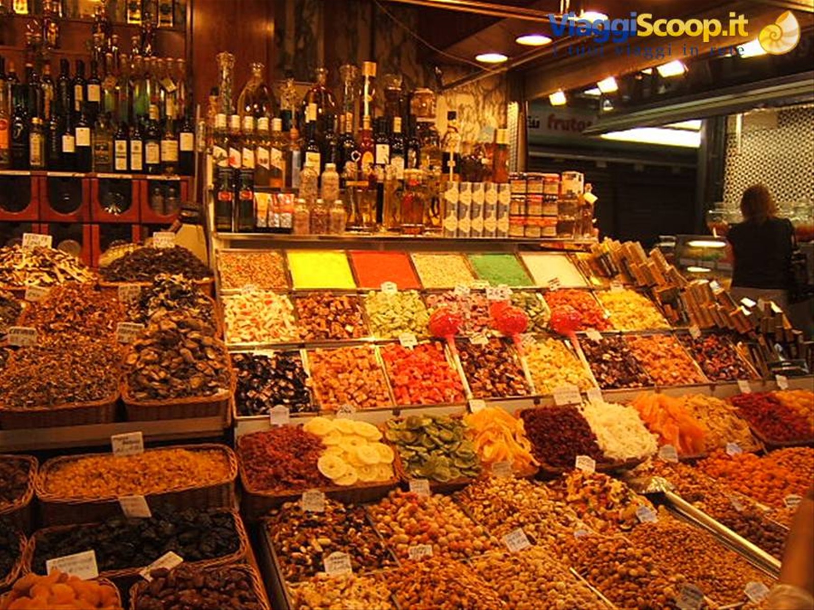 Foto di viaggio in SPAGNA