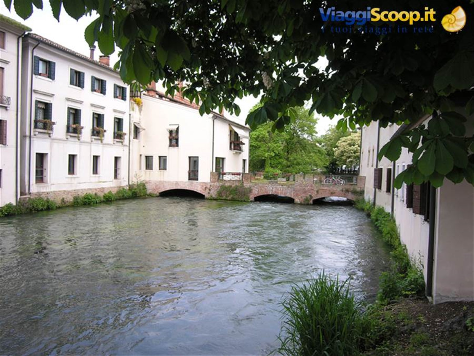 Foto di viaggio in BRASILE