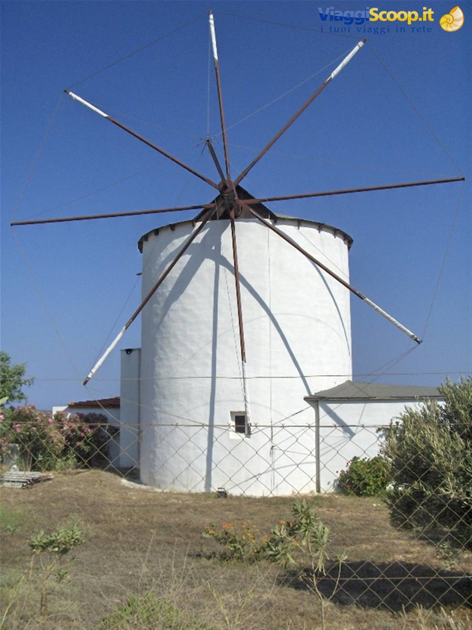 mulino