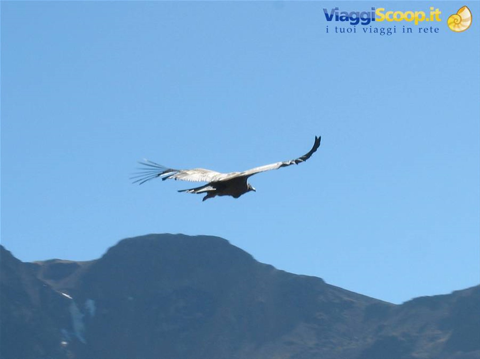 Cruz del Condor