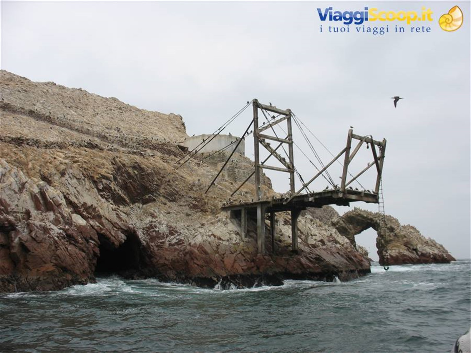Isole Ballestas