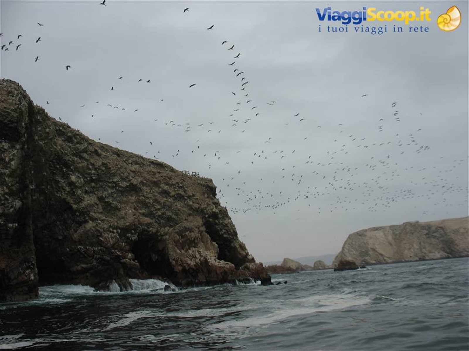 Isole Ballestas