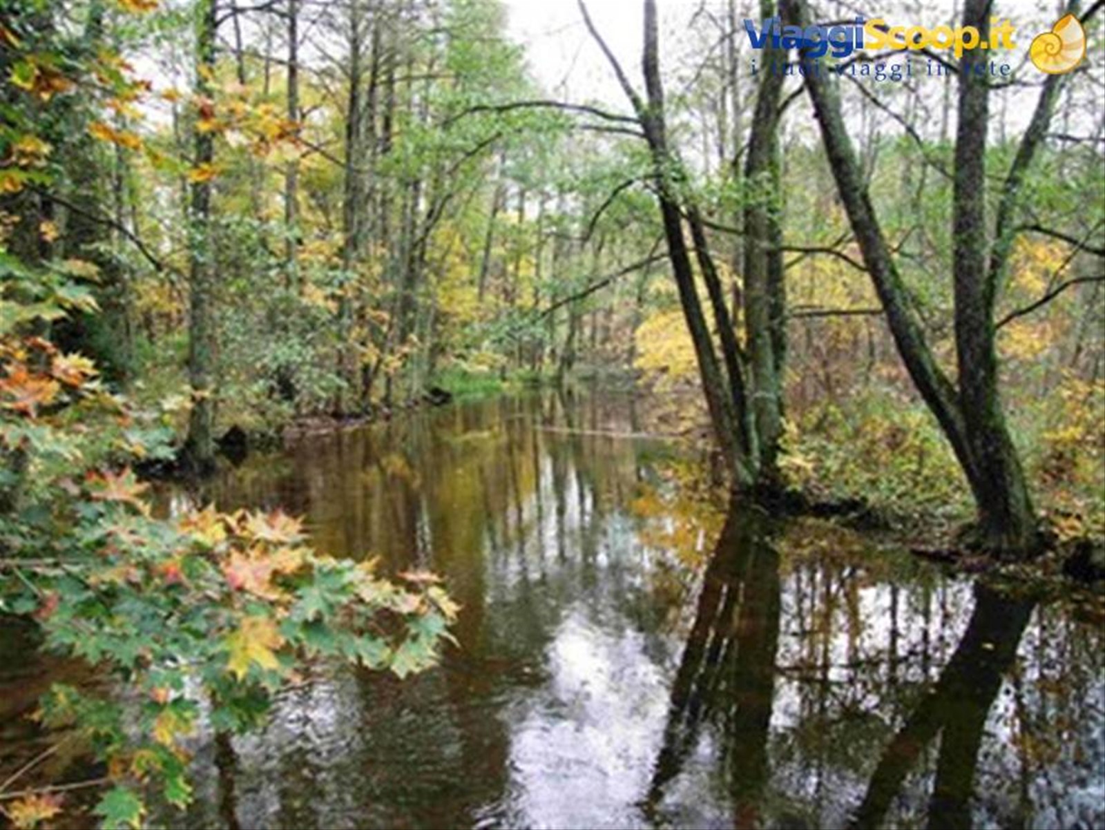 La Masuria