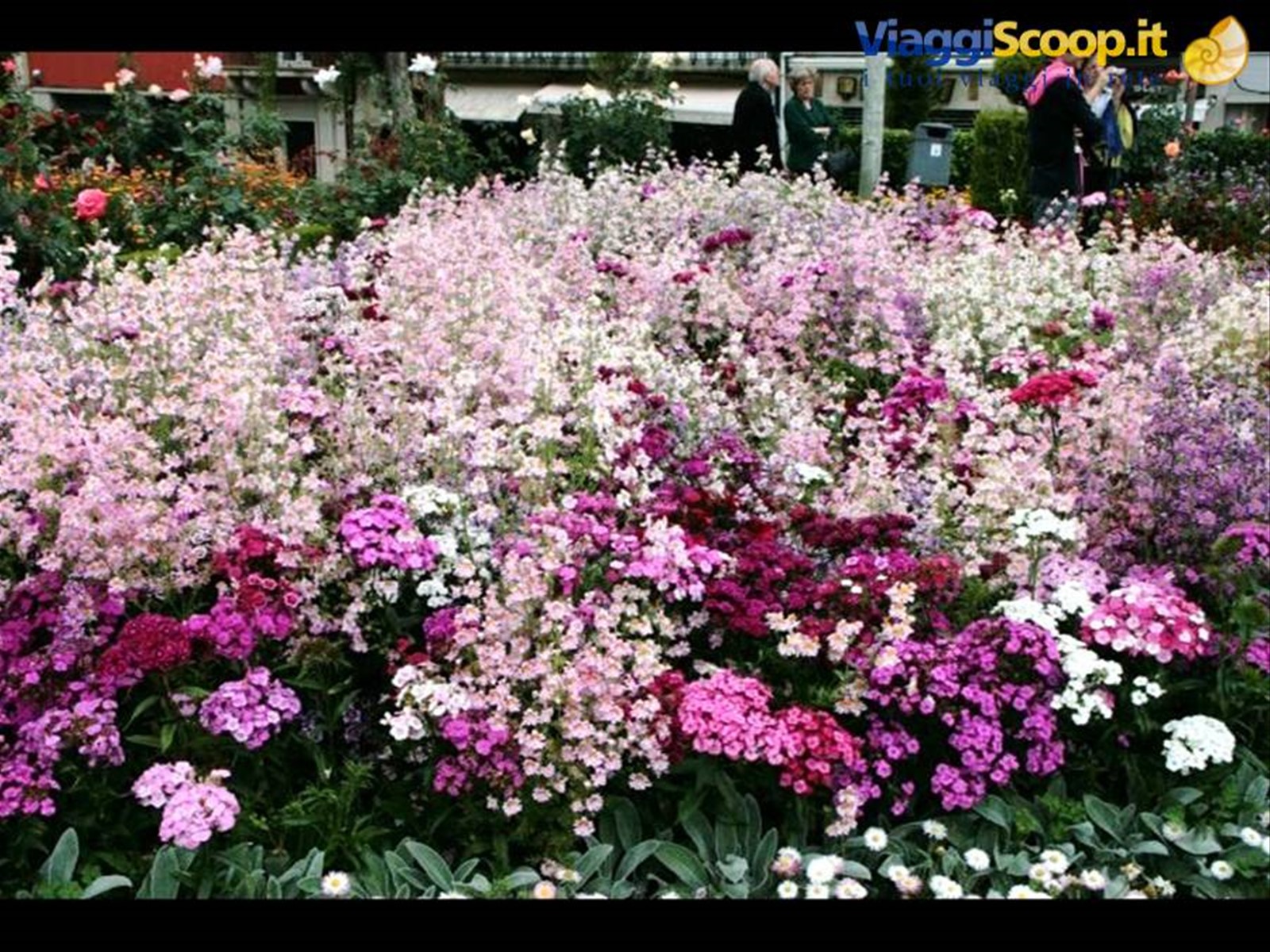 Braga -Jardin de Santa Barbara
