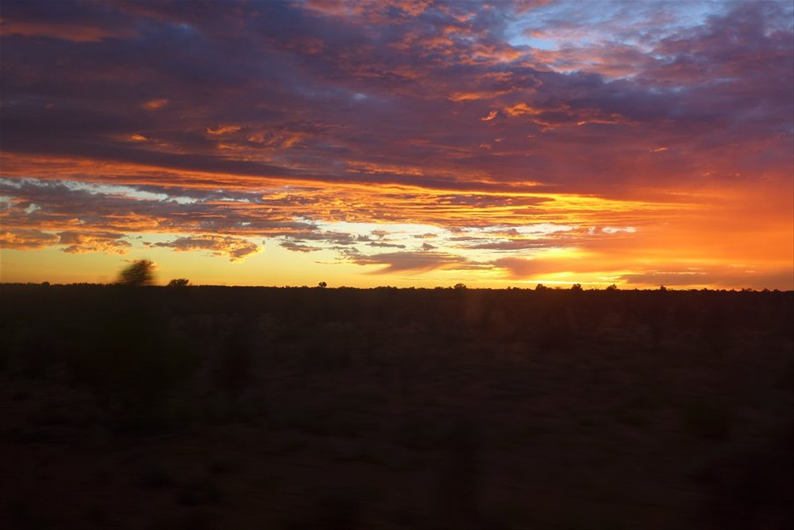 alba nel deserto...dal Ghan