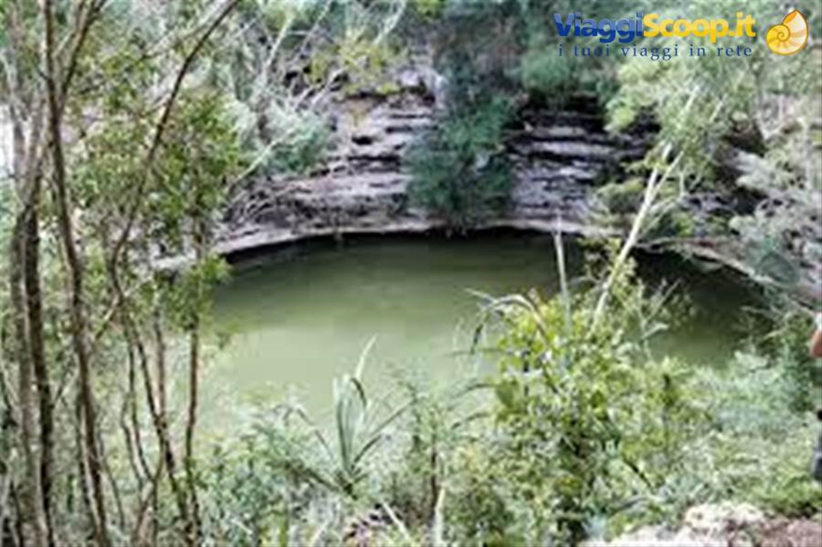 cenote