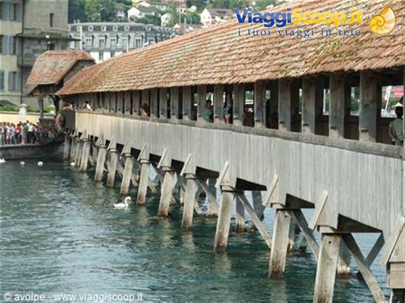lucerna