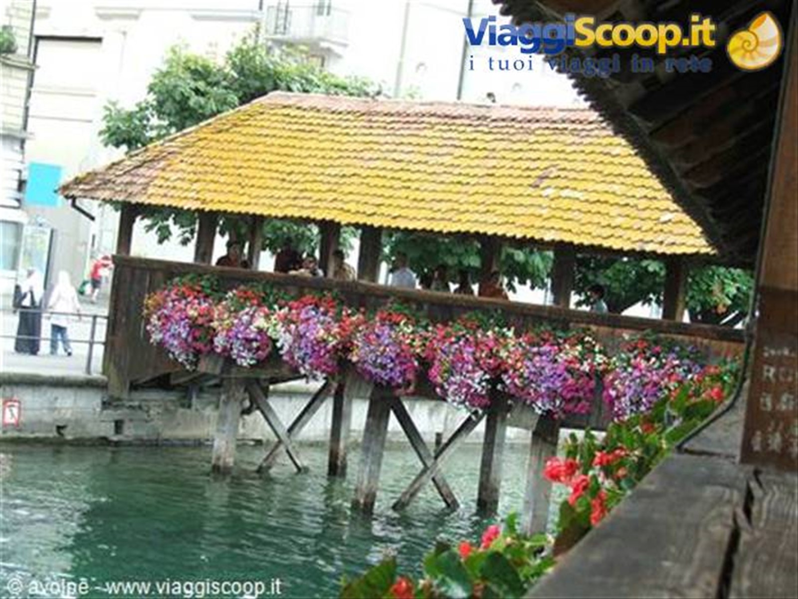 lucerna
