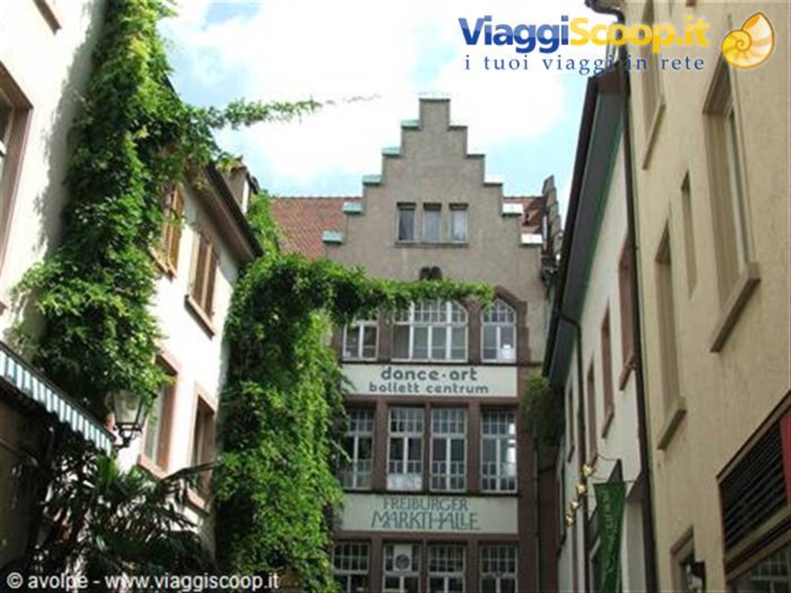 friburgo