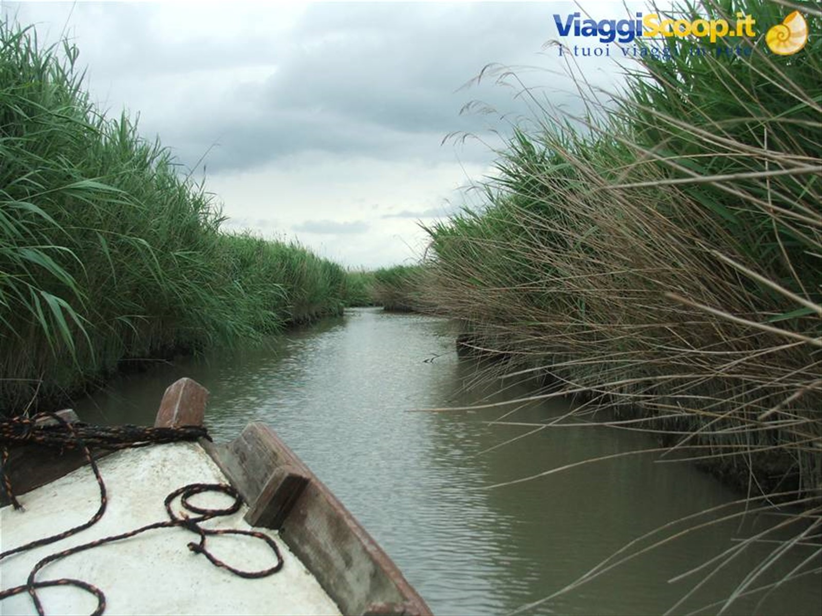 Sacca di Goro,Parco del Delta