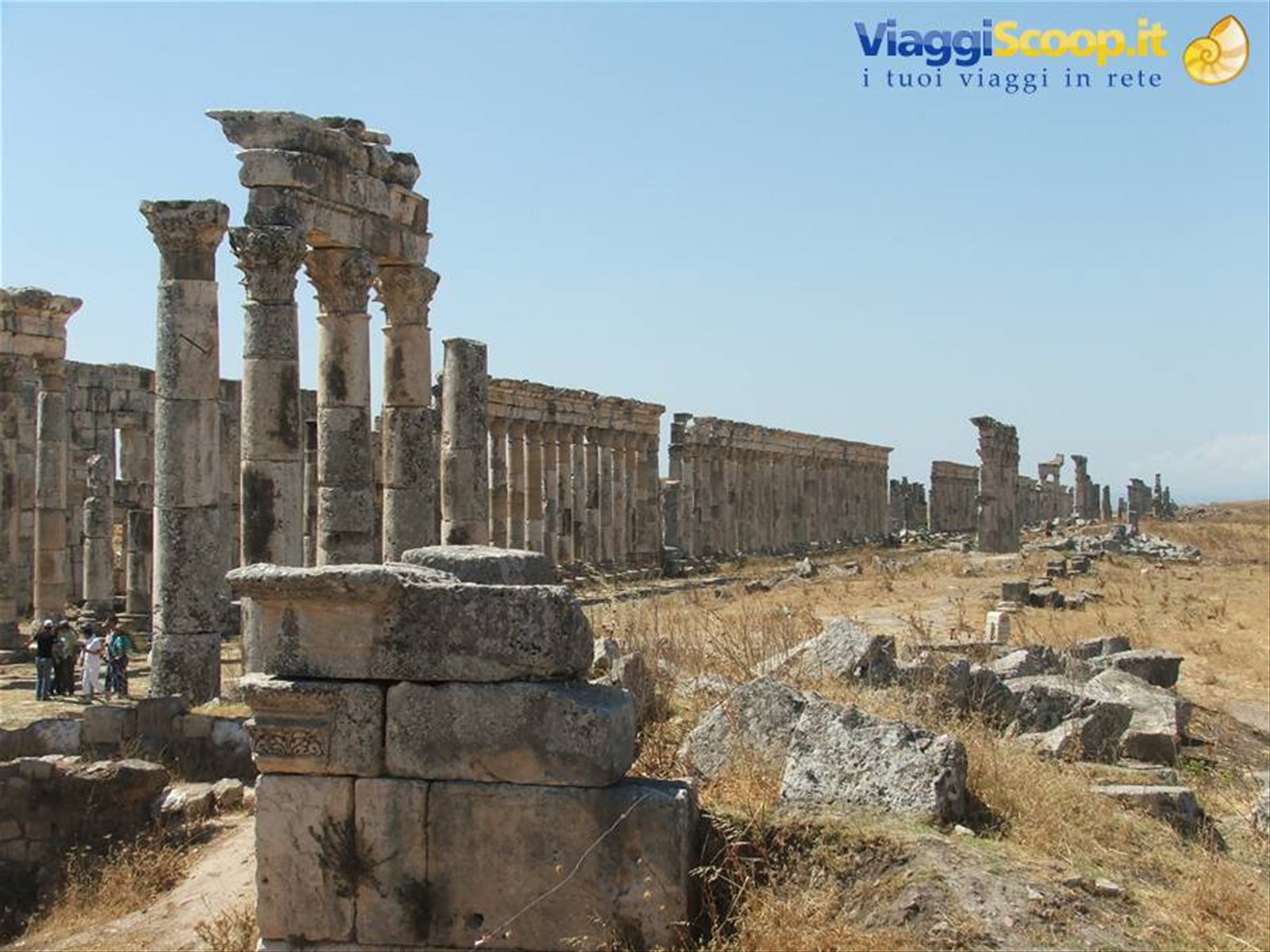 Apamea