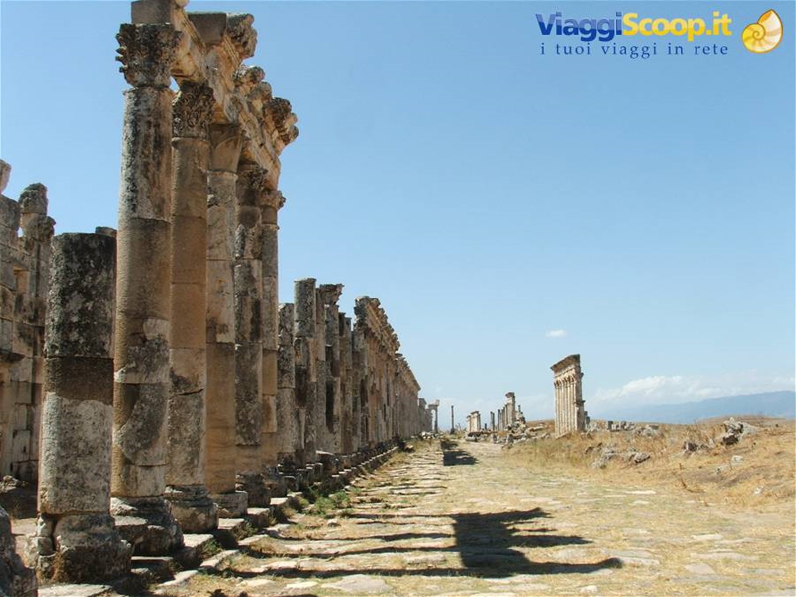 Apamea