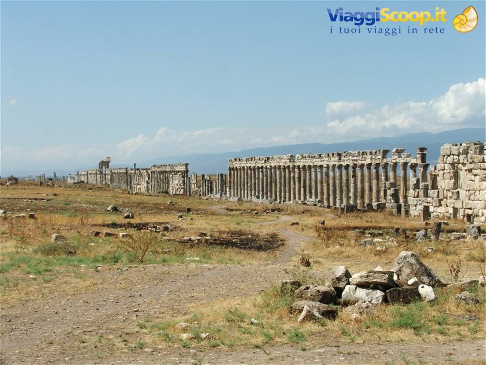 Apamea