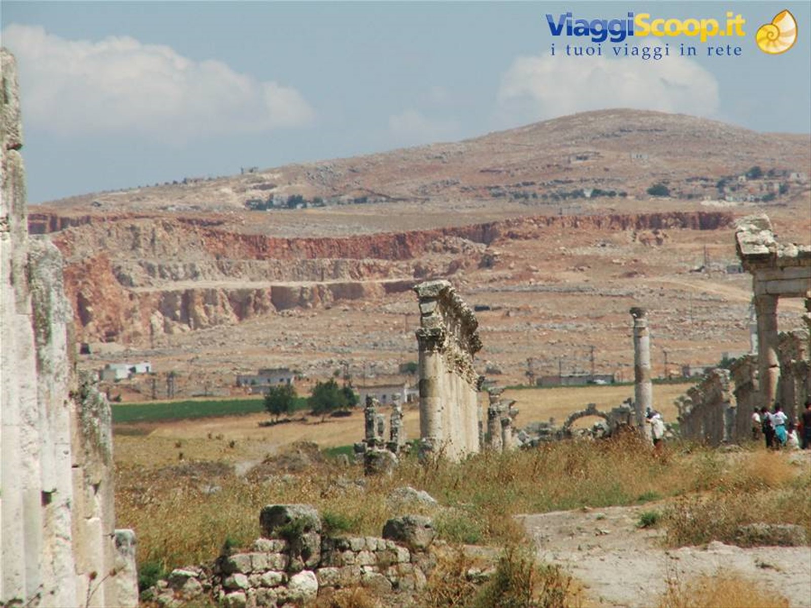 Apamea