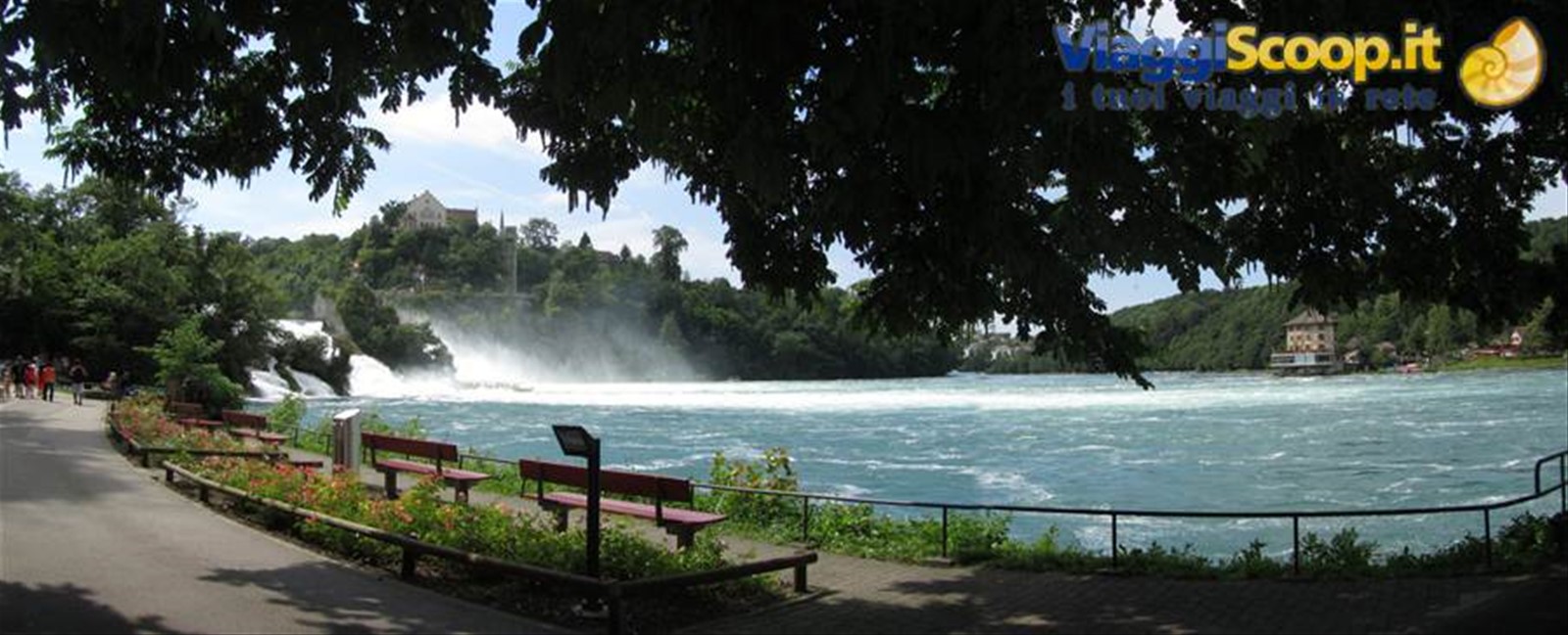 Schaffausen cascate del Reno
