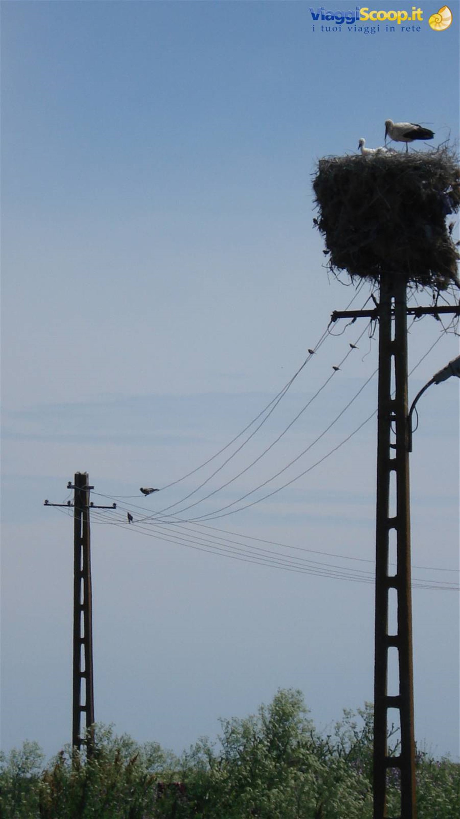 Foto di viaggio in ROMANIA