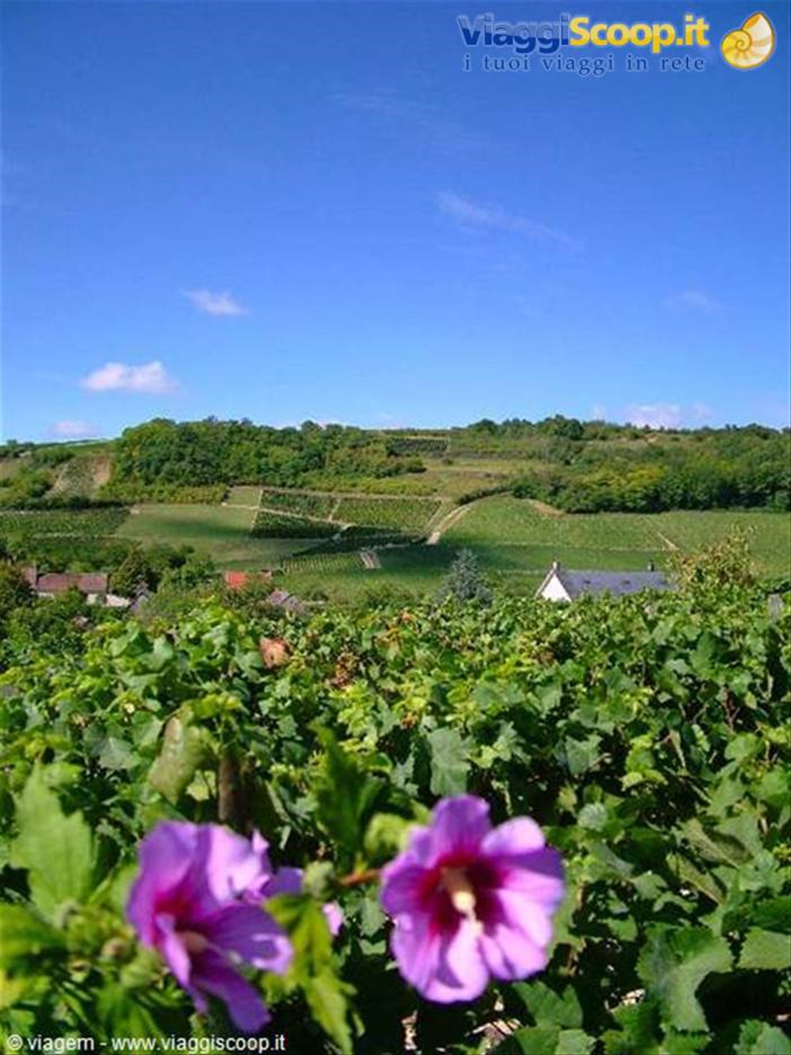 Colline di Francia