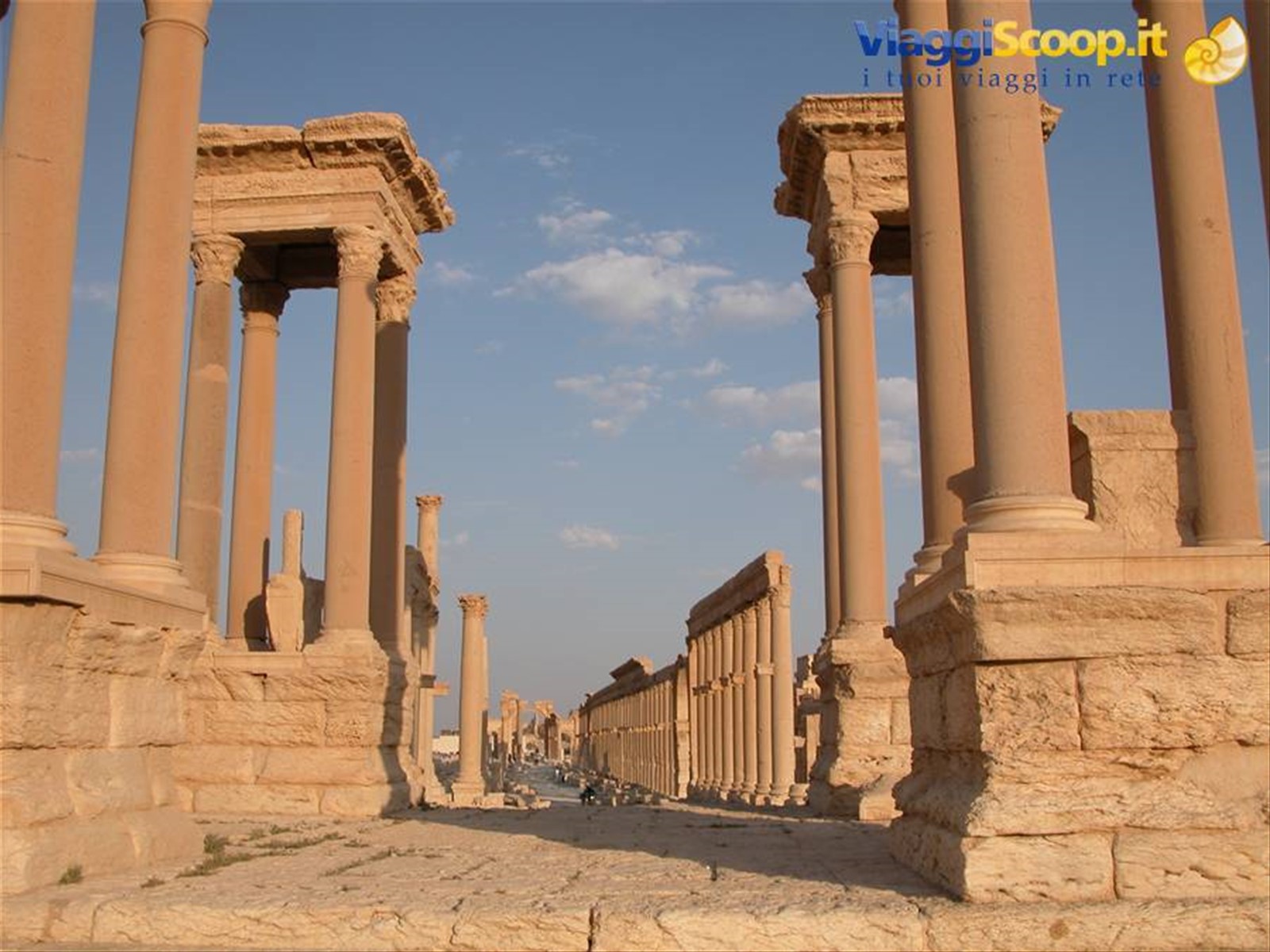PALMIRA