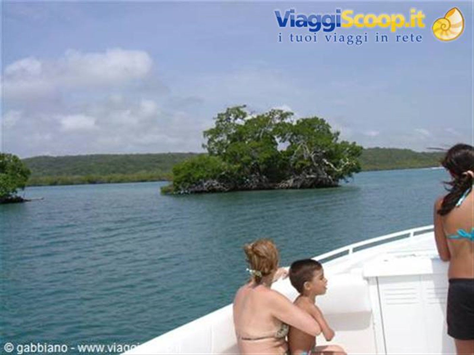 morrocoy