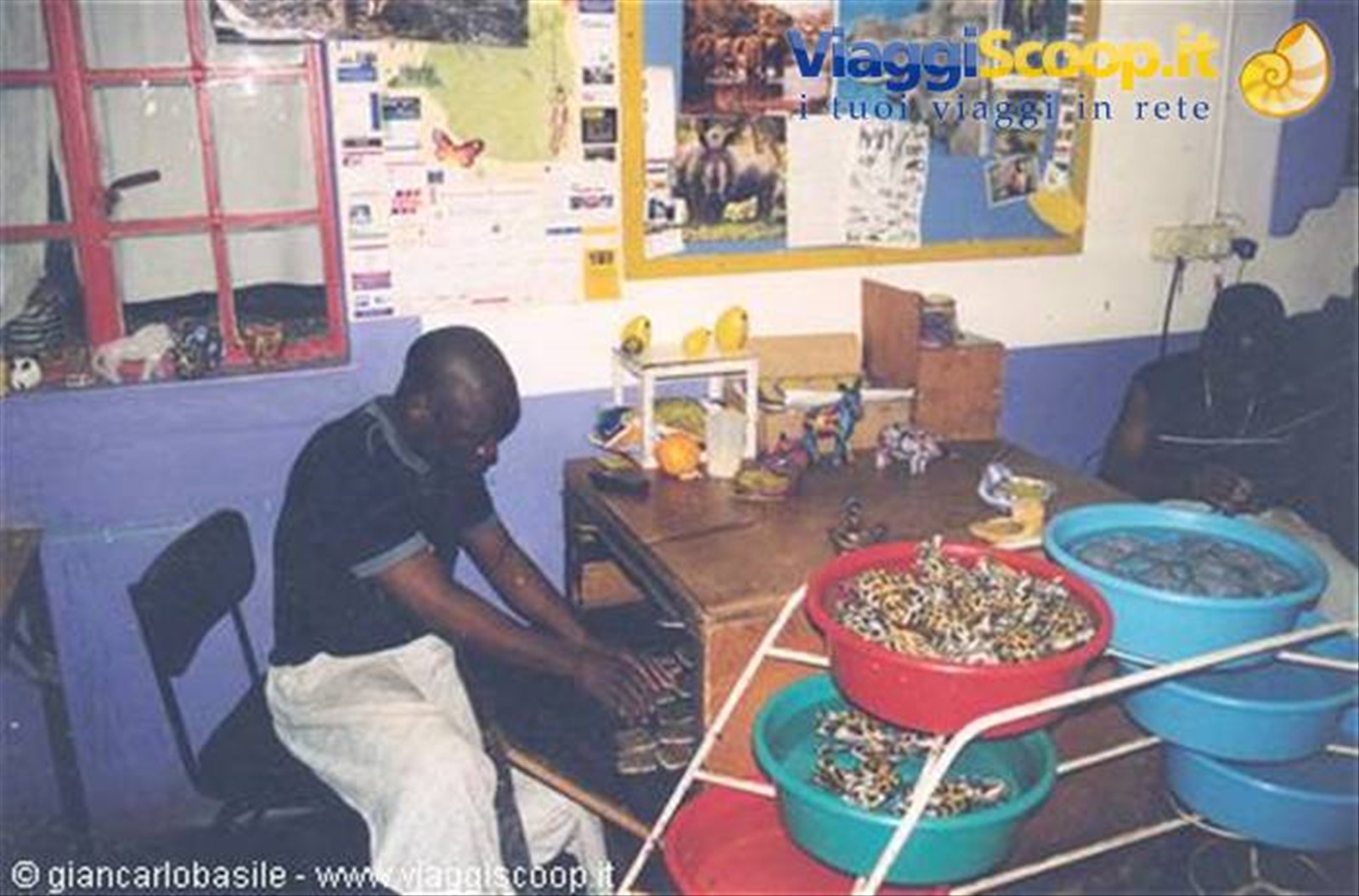 Foto di viaggio in SWAZILAND