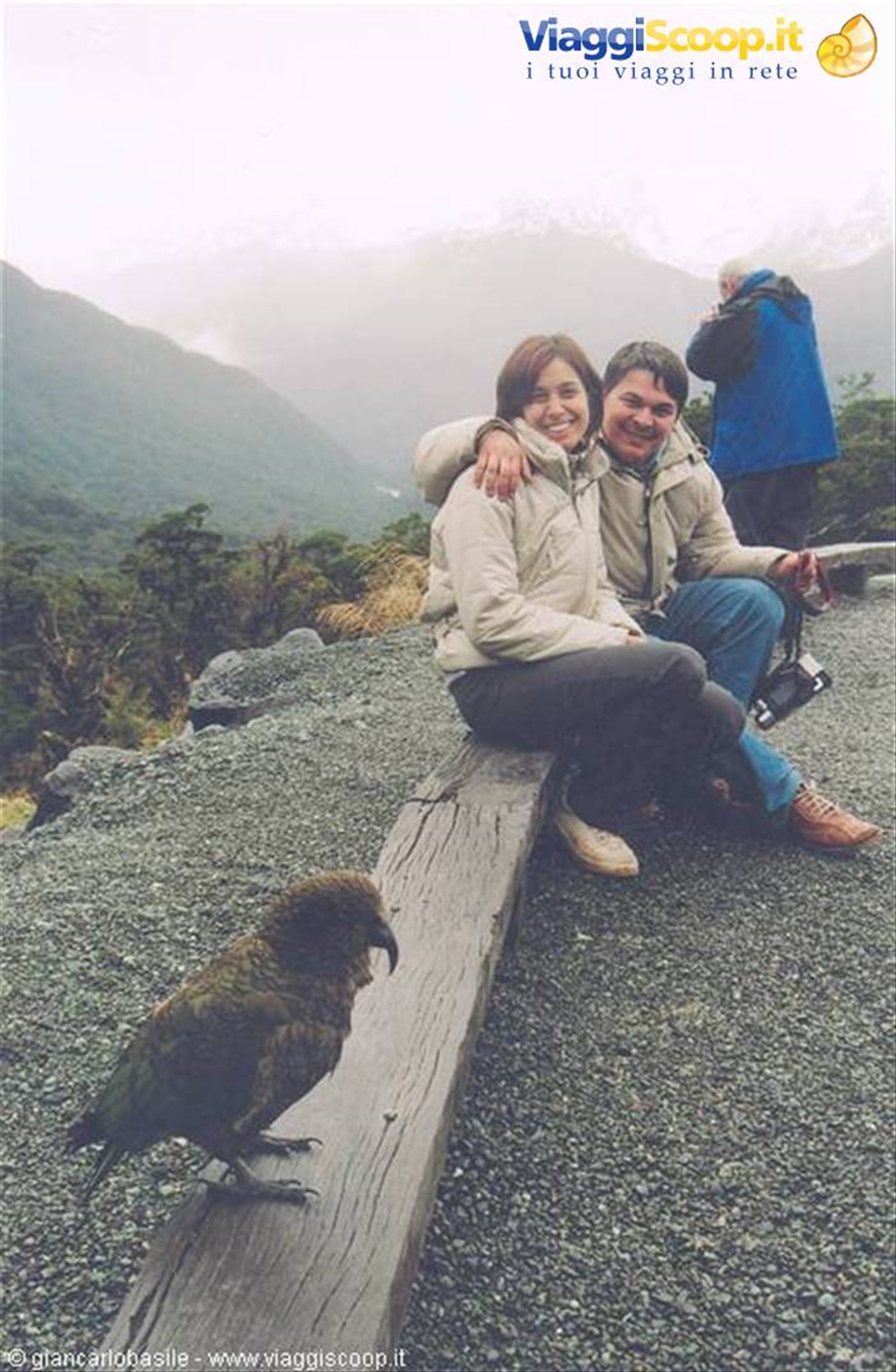 Foto di viaggio in NUOVA ZELANDA