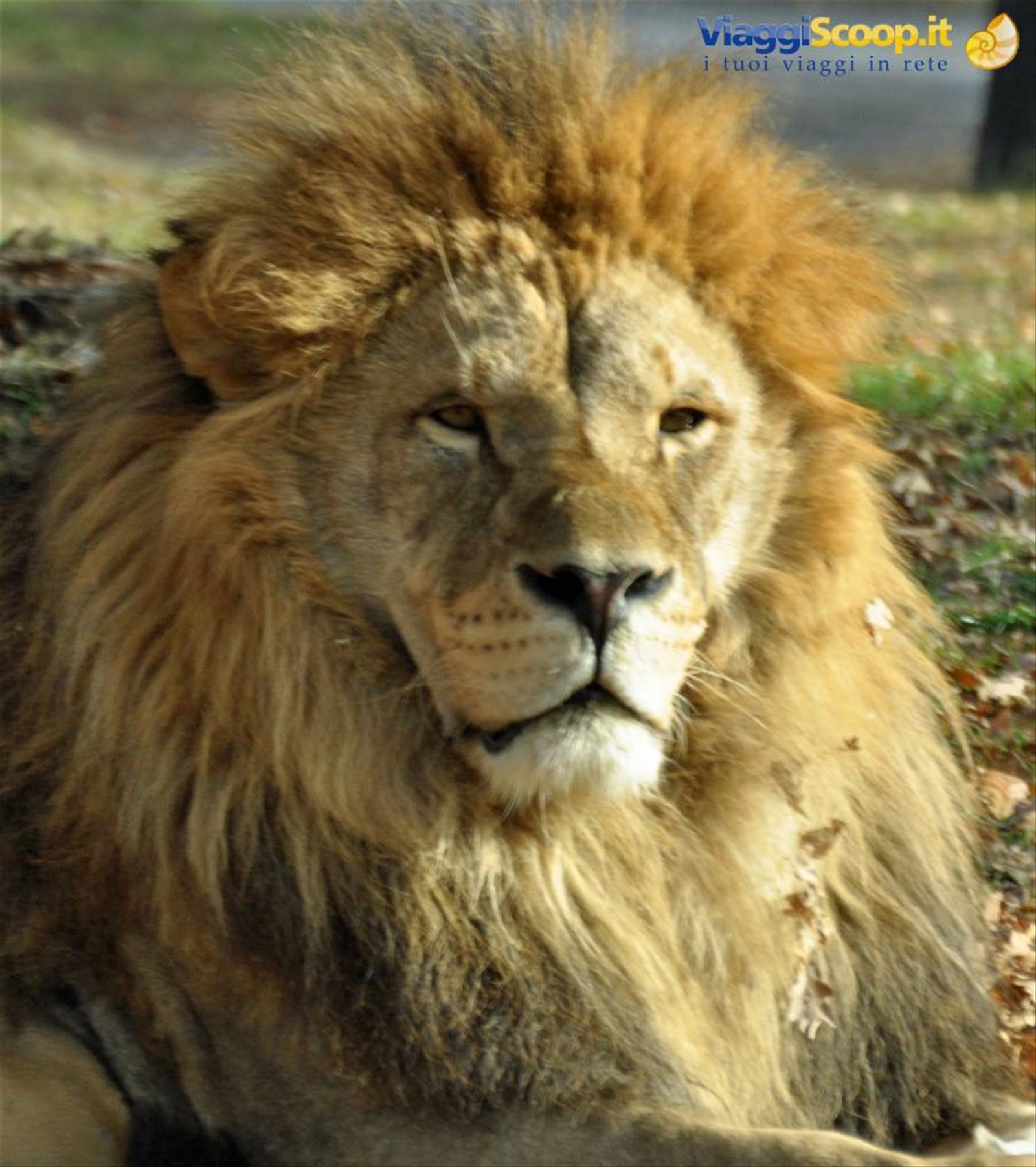 Safari park Pombia