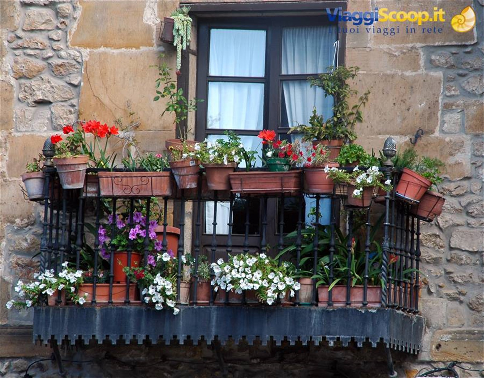 Foto di viaggio in SPAGNA