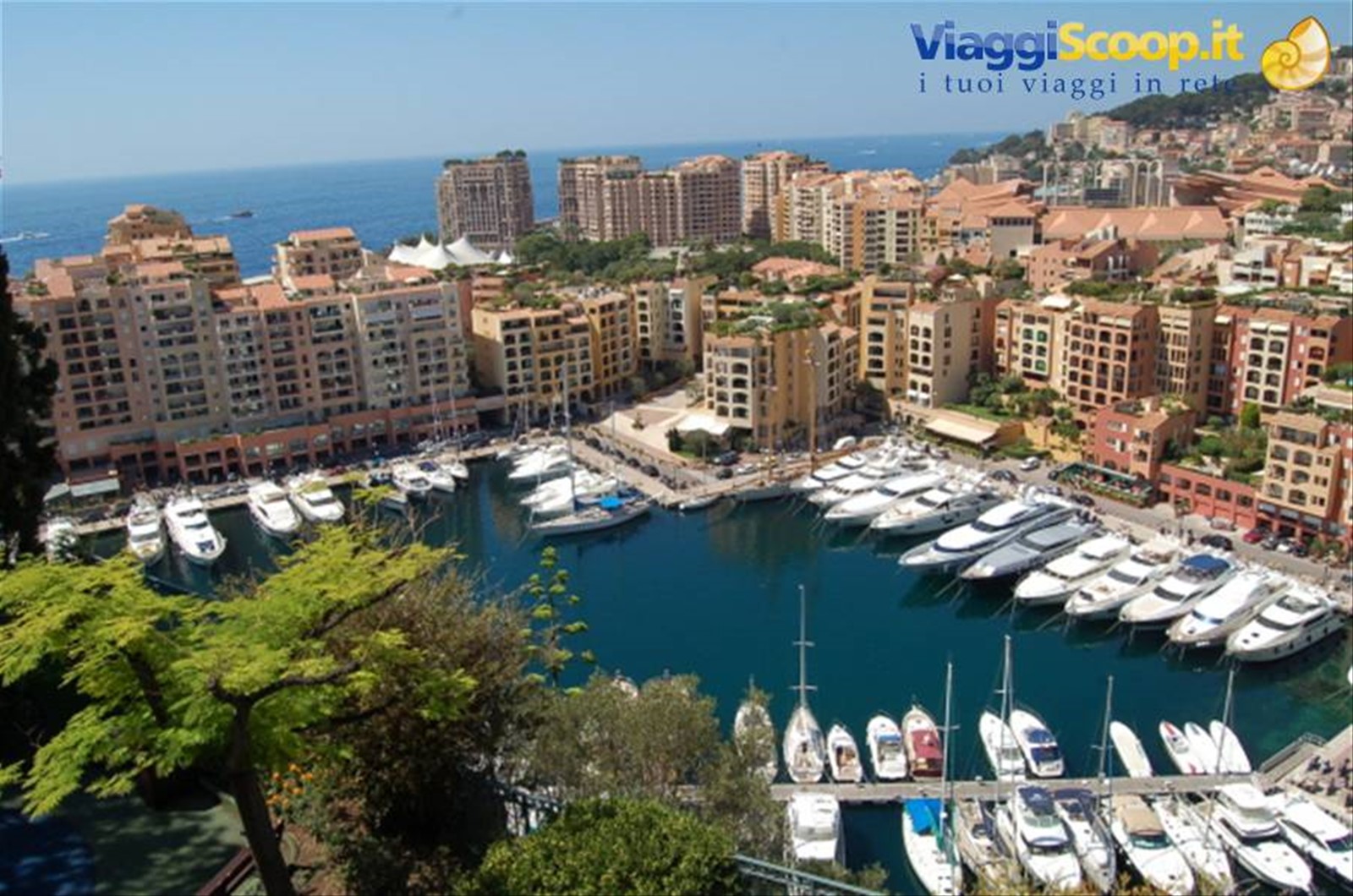 vista MonteCarlo